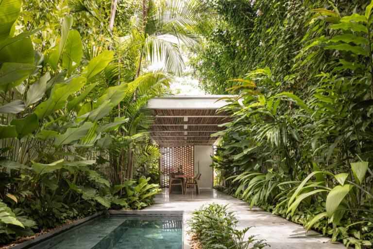 Plantas para jardim dos seus sonhos: Crie um oásis particular com o design de arquitetura paisagística que transforma seu espaço. Descubra projetos exclusivos e vibrantes agora!