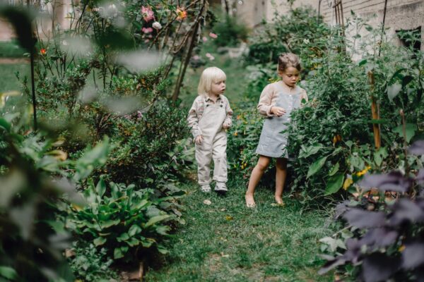 RSAI Arquitetura - Plantas para jardim fora e dentro de casa. Ideias para se inspirar