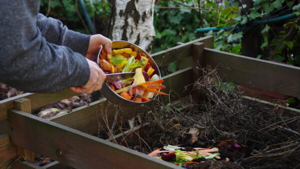 Compostagem doméstica projetos com recipientes e técnicas caseiras - RSAI Arquitetura