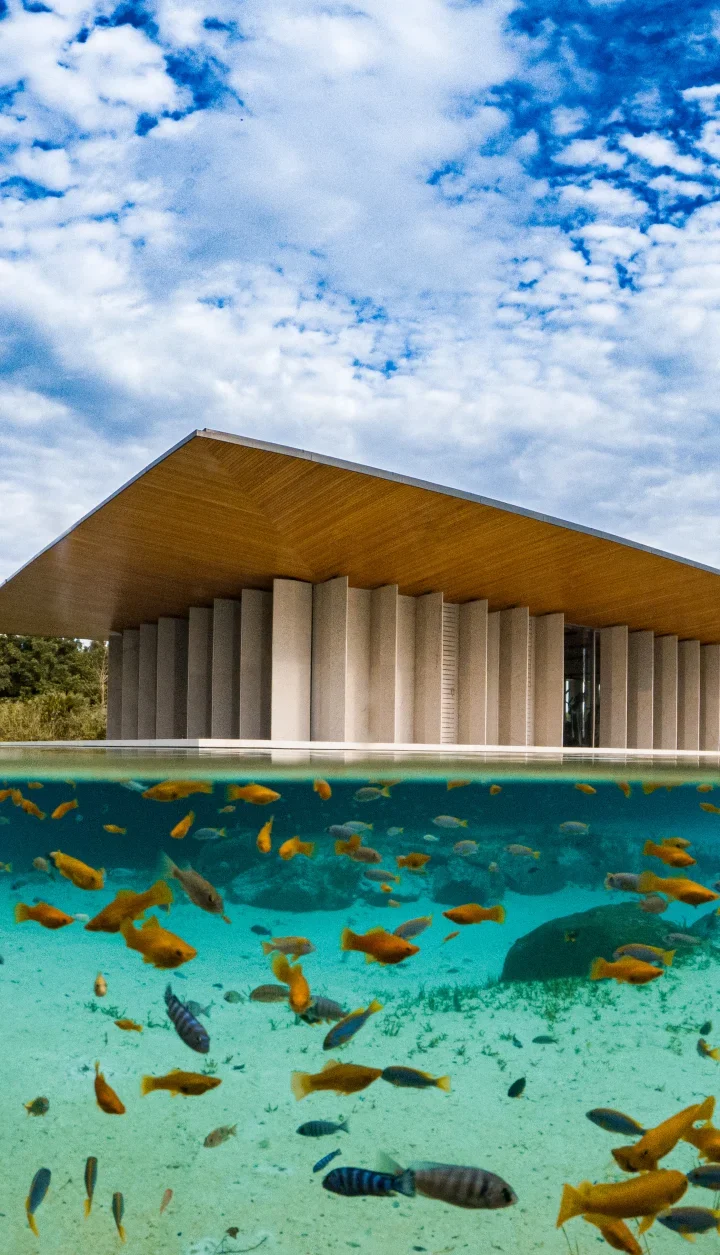 Casa de luxo com piscina: o ápice do design arquitetônico moderno que aguarda seu toque pessoal. Mergulhe na inspiração para seu projeto dos sonhos e explore o exclusivo mundo da vida de alto padrão. Descubra a excelência em arquitetura.