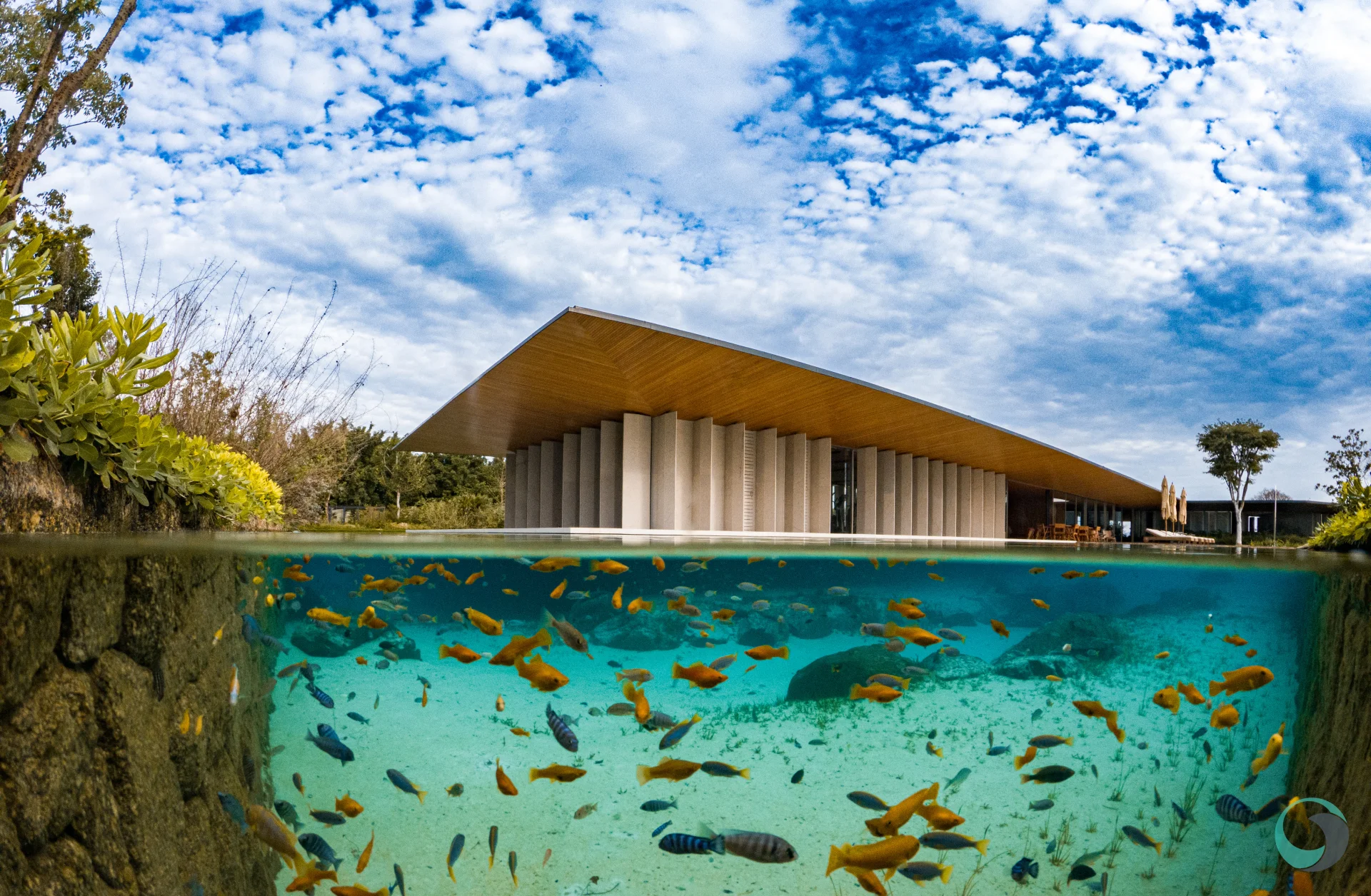 Casa de luxo com piscina: o ápice do design arquitetônico moderno que aguarda seu toque pessoal. Mergulhe na inspiração para seu projeto dos sonhos e explore o exclusivo mundo da vida de alto padrão. Descubra a excelência em arquitetura.