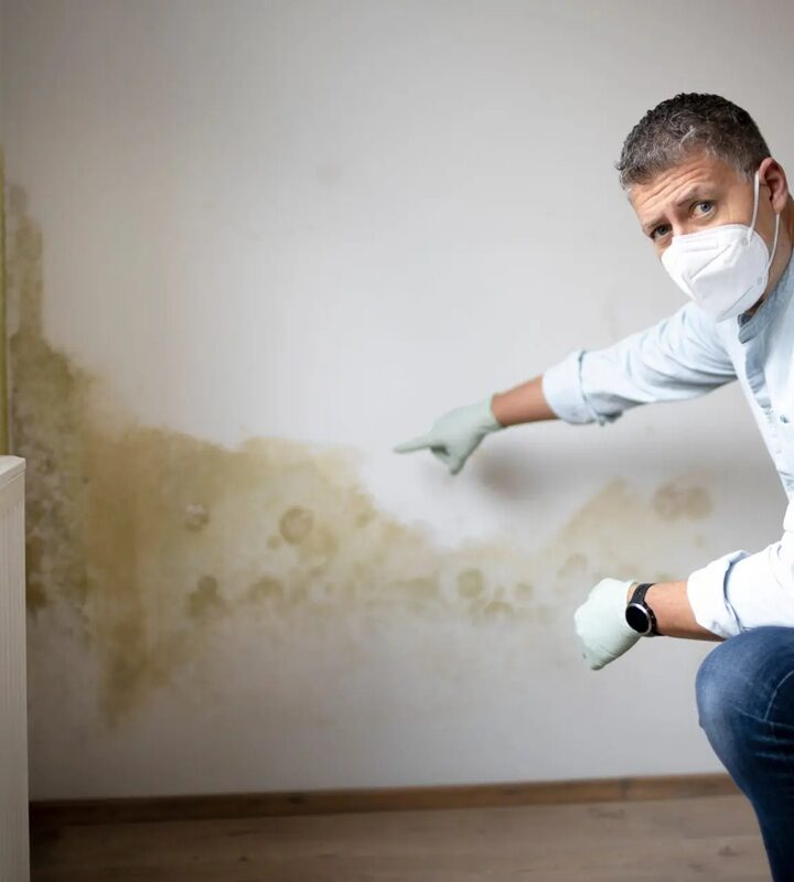 Parede com Bolor? Solução Definitiva Revelada! Arquitetura e Dicas Incríveis para um Lar Saudável.